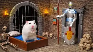 Hamster Adventure: Hunt for Egypt’s Hidden Treasure! 🐹✨ | Hamster Maze