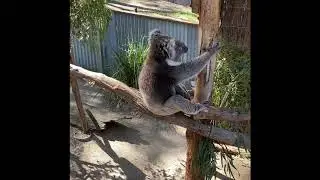 Gumbuya World 2020 # Place to visit Melbourne Volg 1 Indian Volgger in Melbourne