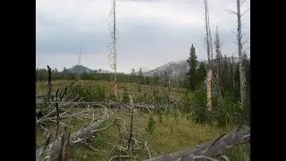 Assessing the Work of Wildfires and Identifying Post fire Management Needs