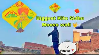 Flying Big Kite Sidhu Moose wali Hawa Ni Chali 20M Views #minivlog #kite 