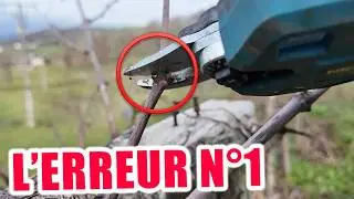 Comment Tailler une Vigne Correctement? et les ERRREURS à FUIR !!