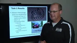 Assessing Traffic Threats for Amphibian, Reptiles of Greatest Conservation Need on TX Roads 0-6972