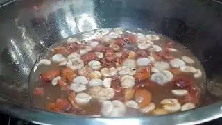 Homemade Mangosteen Salak Wine  Easy Exotic Fruit Wine Recipe at Home