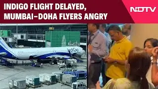 Indigo Flight News | 