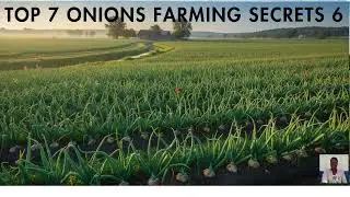 TOP 7 OINIONS FARMING SECRETS 6: TUTORIAL ON SUSTAINABLE FARMING PRACTICES! BY Florence Alimo: Livin