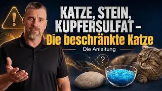 Die beschr&auml;nkte Katze