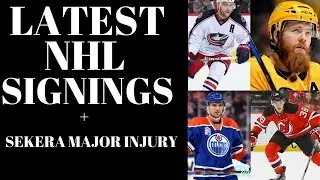NHL FREE AGENTS 2018 - Ellis, Santini, Letestu + Sekera Injury