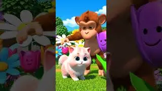 cute Cat and monkey