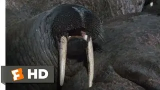 Farting Walrus - Arctic Tale (2/10) Movie CLIP (2007) HD