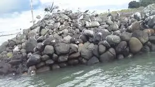 Замок, 53 серия - Птицы, хе-хе-хе :3