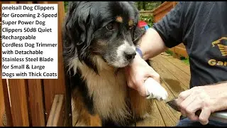 oneisall Dog Clippers for Grooming 2-Speed Super Power Dog Clippers 50dB Quiet Rechargeable Cordless
