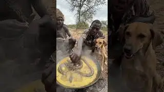 Primitive Cooking Without Modern Tools #Hadzabe #PrimitiveCooking #WildFood #shortsfeed  #food