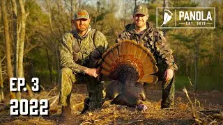 2022 EP. 3- Afternoon Outcast Gobbler in Bama