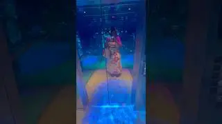 Мне очень нравится лифт Virgin Voyages!!