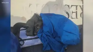 Dog swept out to sea rescued after bolting from San Diego Airbnb
