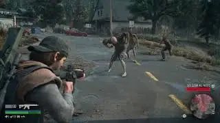 DAYS GONE - Rogue Camp Infestation | Location of all nests | RTX 3050 | [PC]