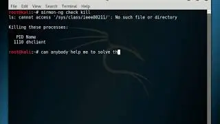 ls: cannot access '/sys/class/ieee80211/' : No such file or directory | Problem in vmware kali linux