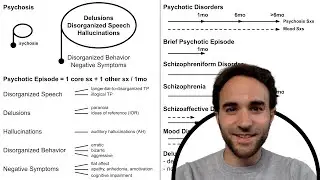 Psychotic Disorder Diagnosis