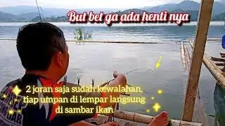 Sangat melelahkan 😱 ketika memancing umpan baru lempar langsung di sambar ikan, but bet tiasa henti