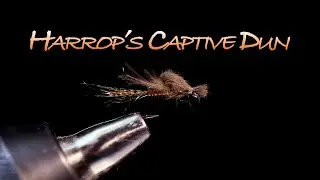 Harrop's Captive Dun Fly Tying Instructions by Charlie Craven
