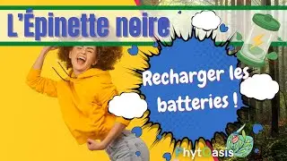 L'&eacute;pinette noire : Adieu la douleur, bonjour l'&eacute;nergie !