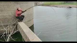 Fishing videos 🎣|| How to catch big black rohu fishes 🐟|| single hook fishing 🎣||Incredible fishing