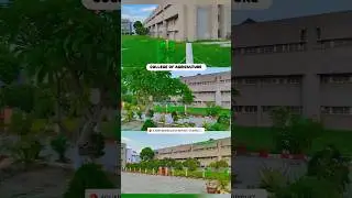 College of Agriculture | ANDUAT, Kumarganj📍