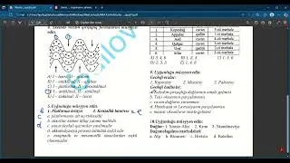 Ədilov Elsevər - Litosfer quiz - izah.
