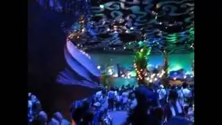 Tokyo Disneysea Mermaid Lagoon Theater (1) 2010