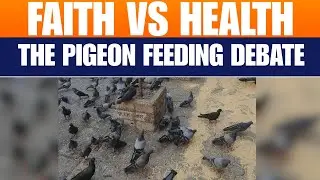 Faith vs Health: Jain Community Holds Silent March Over Mumbai Pigeon Feeding Ban | News9