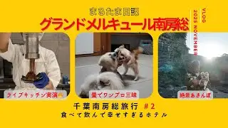 【犬連れ南房総】グランドメルキュール南房総｜食べて飲んで幸せすぎるホテルVLOG #2