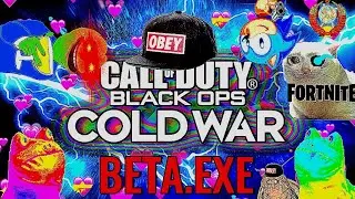 Call of duty black ops cold war BETA.EXE