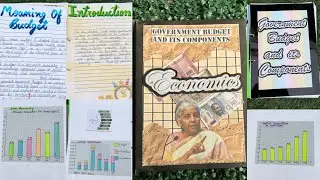 Class 12 Economics file on Government Budget and its components |#projectfile #class12project #cbse