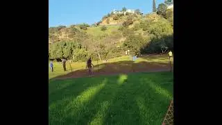 HOLLYWOOD  