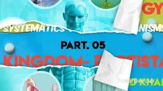 Systematics of living organisms for class 11th biology sub topic Kingdom- Protista