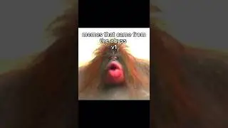 memes that came from the abyss v1 #shorts #memes #funny #trending