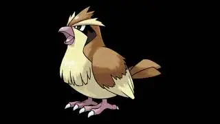 The Pokemon Company New Real Life Mascot Ideas Pidgey (Generation I) #shorts