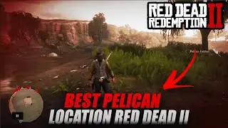 Pelican Locations For Exotic Bird Meat For Daily Challenges Red Dead Online (RDR2)