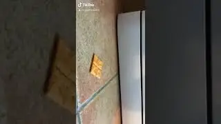 Genji shuriken (yes I use TikTok)