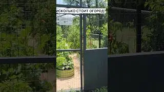 СКОЛЬКО Я ЗАПЛАТИЛА ЗА СВОЙ ОГОРОД? #shorts