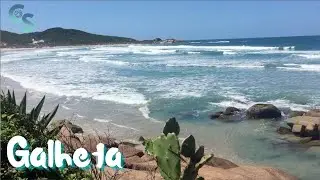 Surf de P&aacute;scoa na GALHETA | Floripa | Abril 2021
