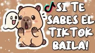 SI TE SABES EL TIKTOK BAILA! - 2026
