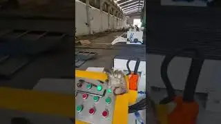 What is the new stainless steel circle factory like? Stainless steel circle production site