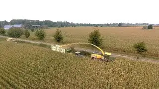 New Holland FR 700 Gebr Seegers in de maïs Trekkerweb