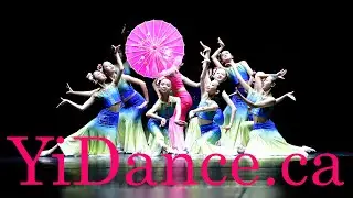 Chinese Dance(中国舞): Blossom In Rainforest - Yi Dance 2024 Performance