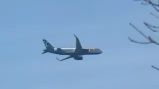 JetBlue Airbus A320-232 (B61244, N809JB) landing to ISP Airport over my house from PBI (Pic only)