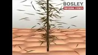 Кератиновые волокна Bosley