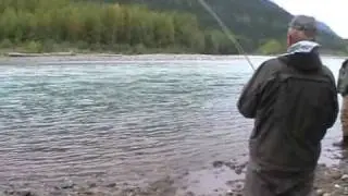 Kjell nr1 Copper Steelhead