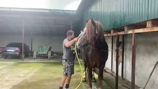 Soviet Vagovoz SULTAN takes a shower.