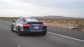 Gumball 3000 Bentley Gets Busted by Cops!